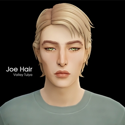 Joe Hair - Gallery - The Sims 4 Create a Sim - CurseForge
