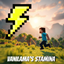Vanilama's Stamina logo