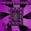 Enter The Mining Dimension logo