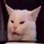 Cobblemon's TomoLife avatar