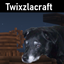 Twixzlacraft logo