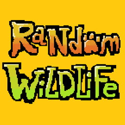 Random Wildlife project image