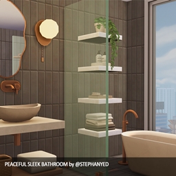 Peaceful Sleek Bathroom (No CC) project image