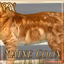 [PW] HD Maine Coon and Wild Cat logo