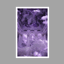 Lilac Pictures logo