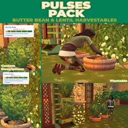 Pulses Pack (Lentils & Butter Beans) - New Custom Harvestables By RobinKLocksley | Chinese Translation