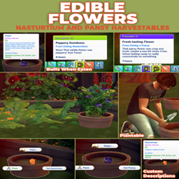 Nasturtium And Pansy (Edible Flowers) - New Custom Harvestables By RobinKLocksley | Chinese Translation
