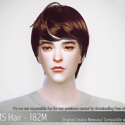 Korean Hairstyle 182M project image
