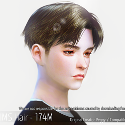 Korean Hairstyle 174M logo