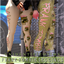Frank Zombie Leggings (Accessory) logo