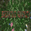 BREAKING GRAVITY logo