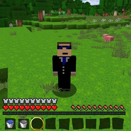 Hidden Armor project image