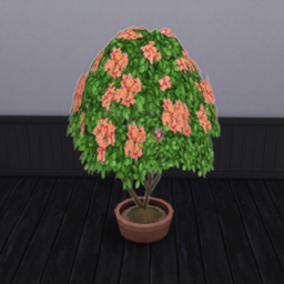 Plumeria Harvestable (Lei Flowers) de King_Zace en français