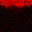 The Severed Faith (Horror) logo
