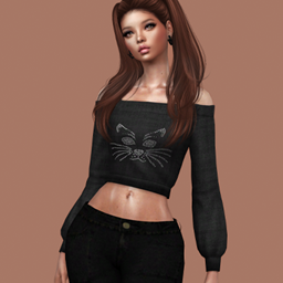 top Soft Spring logo