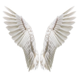 fly me up to the sky