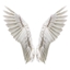 fly me up to the sky logo