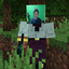 Webcam avatar