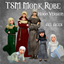 TSM Medieval Monk Robe with Hood for All Ages logo