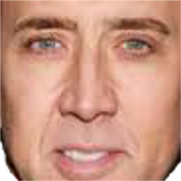 Nicolas Cage Resource Pack project avatar