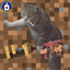 CIA Catgirls Create SMP logo