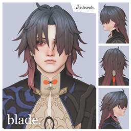Blade Hair & Accessory