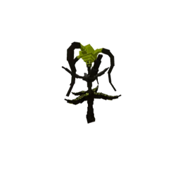 Scape and Fun logo