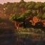 Ancient Haven - Evolving Journeys logo