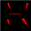 Brotherpack logo