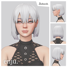 Enju Hair - Short Version logo