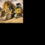 Big Ol' Machinery logo
