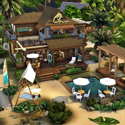 Paradise Palm Beach Bar