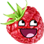 GoofyRaspberry's MC logo