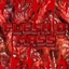 Dave's Flesh O' Mass logo
