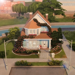 Detailed House logo