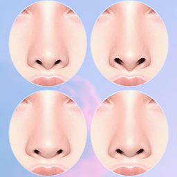 FEMALE NOSE PRESET 15-20