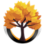 DestinyRpg Reborn logo