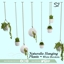 Naturalis Hanging Plants - Recolors logo