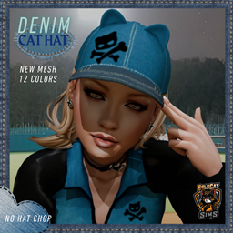 Denim Cat Hat project image