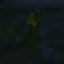 Humped Bladderwort (Utricularia Gibba) logo