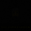 The Papaj Spider logo