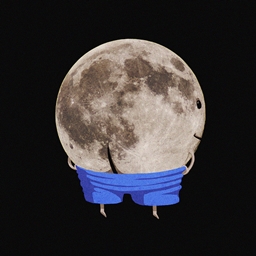 Mission Moonbutt logo