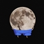 Mission Moonbutt logo