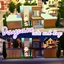 Cat and Dog Daycare (no cc) logo