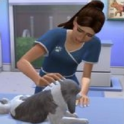 Veterinarian career By  choossims   /  Spanish translation by GatamolLunastra logo
