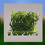 (Bushy Leaves) dronko's alternative Bushy Leaves logo