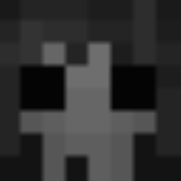 Life less smp project avatar