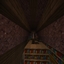 Hide N Seek avatar
