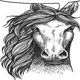 Thoroughbred project image