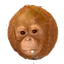Happymonkey1's PastryPunk avatar